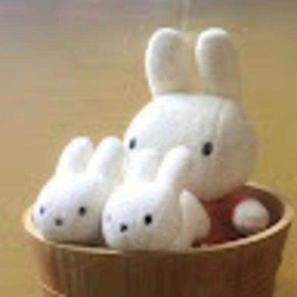 Meet your Posher, Emilee - Picture 1 of 1